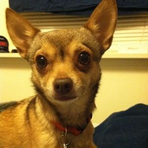 Meet your Posher, Mark